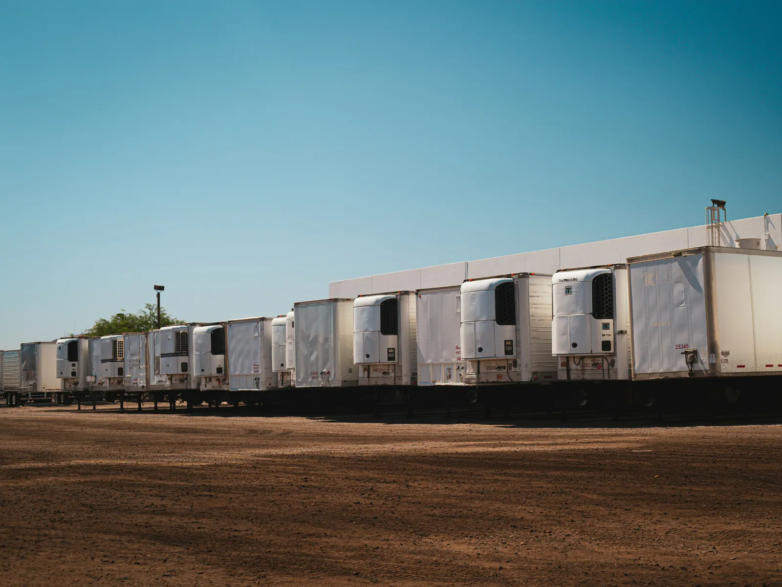 Long row of white refrigerated trailers with front-mounted cooling units parked in a yard under a blue sky